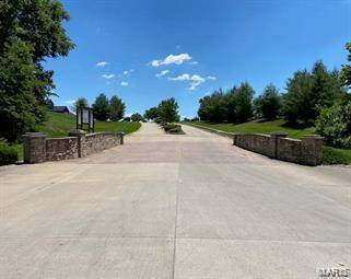 Edwardsville, IL 62025,3809 Tanzanite (LOT 82) TRL