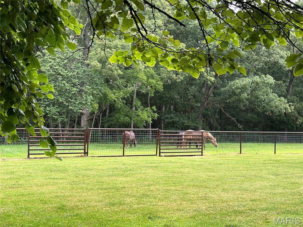 Bland, MO 65014,4616 Elkhead RD