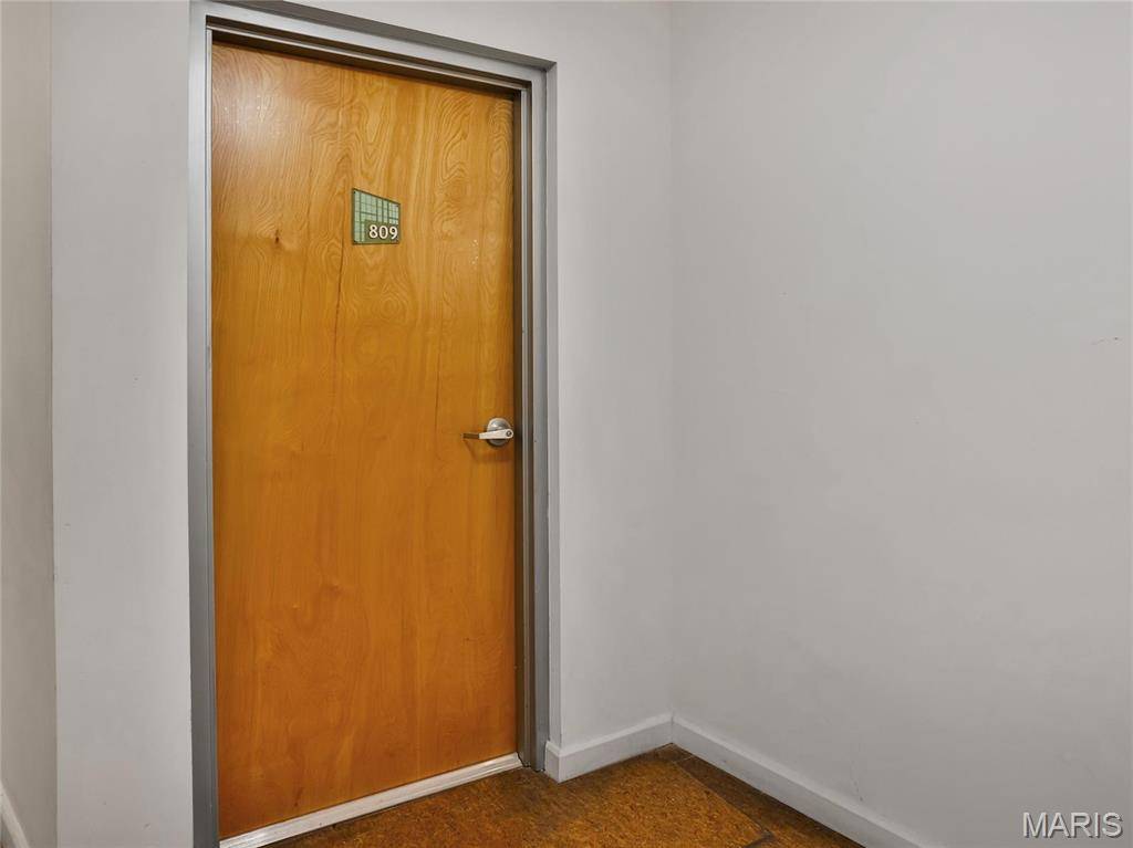 St Louis, MO 63103,2020 Washington AVE #809