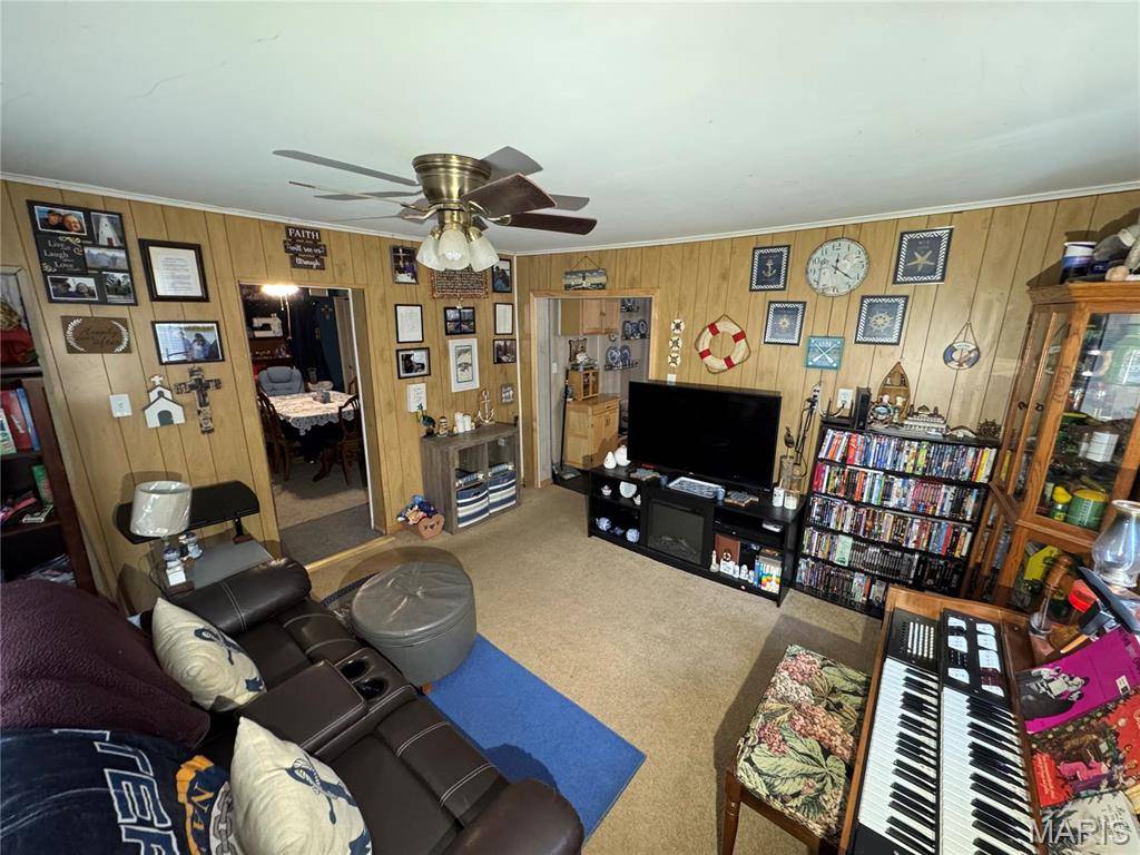 Louisiana, MO 63353,619 Frankford RD