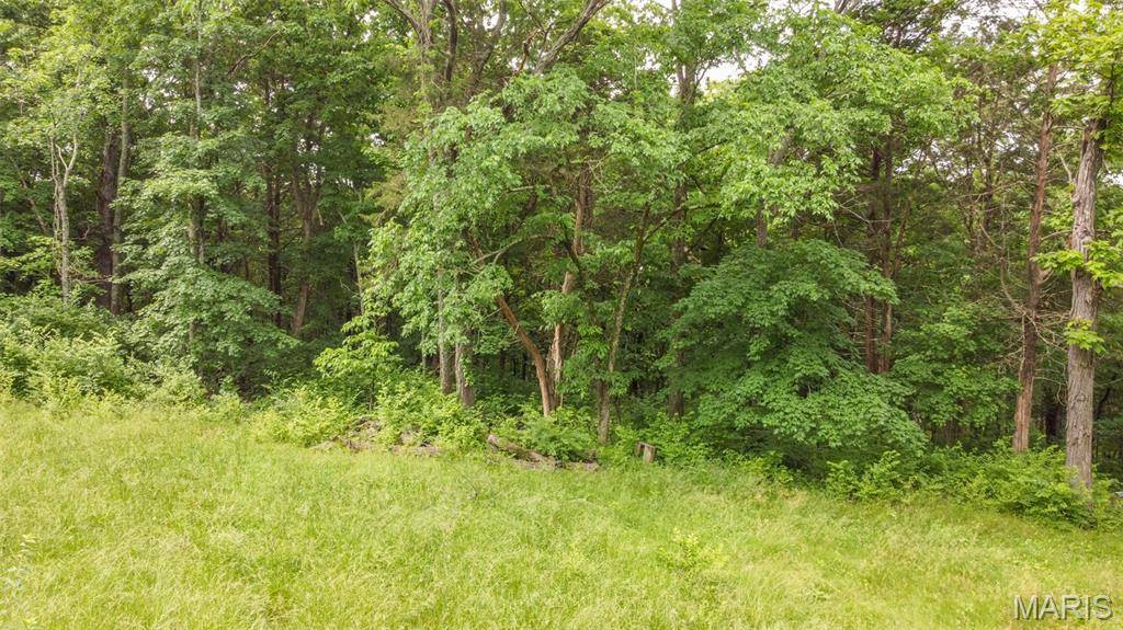 Cedar Hill, MO 63016,7903 State Road Bb