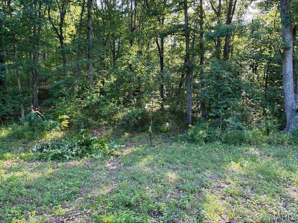 Warrenton, MO 63383,27191 Sunnyside RD