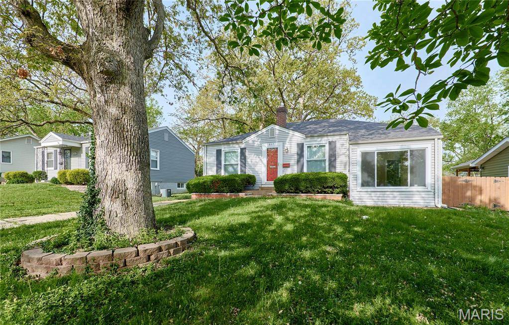St Louis, MO 63119,807 Selma AVE