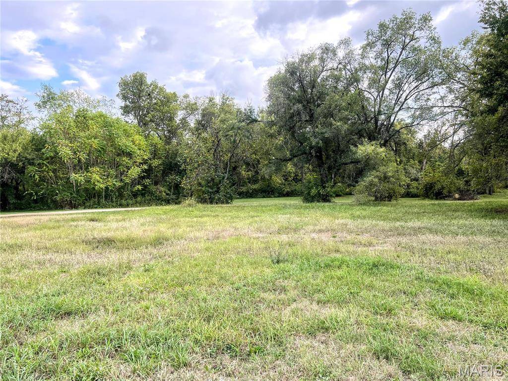 Park Hills, MO 63601,0 E Elvins BLVD