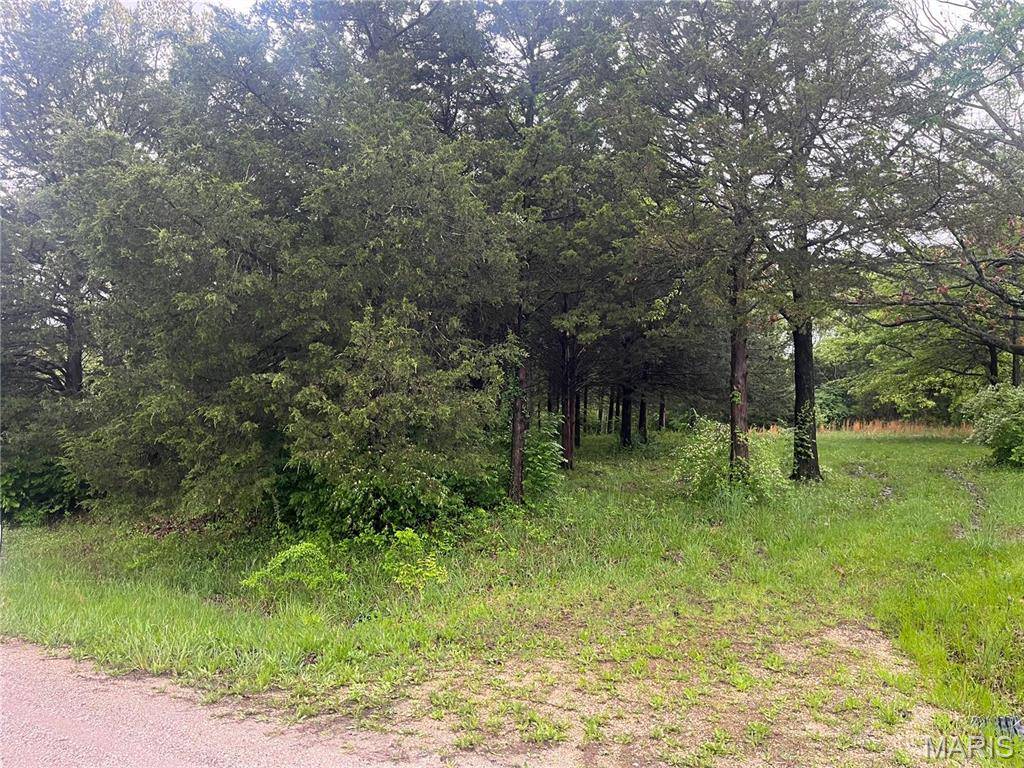Cuba, MO 65453,1985 Lakeshore DR