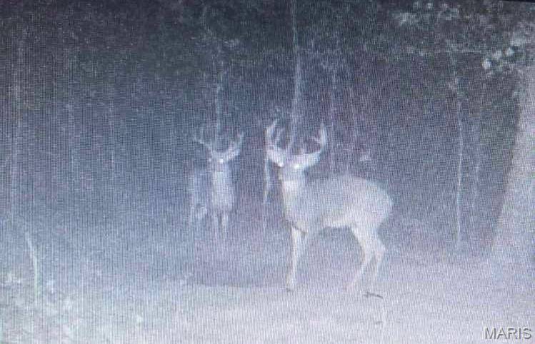 Winona, MO 65588,14559 Hunter LN