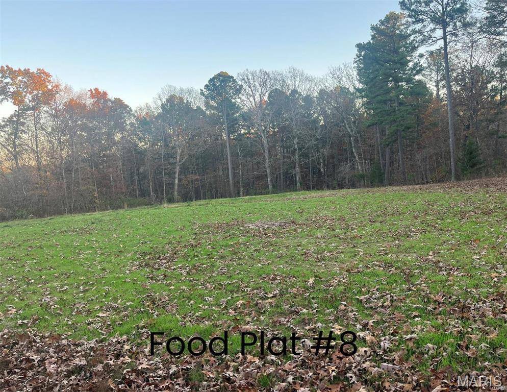 Potosi, MO 65441,0 Tract 2 (160+/- acres) Lodge RD