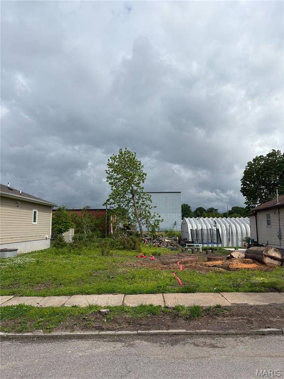 St Louis, MO 63116,5036 Ulena AVE