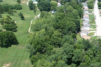 Hannibal, MO 63401,1 Lot 1 Ismail Estates
