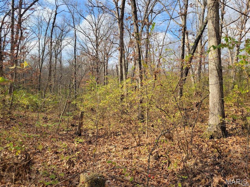 Moscow Mills, MO 63362,0 Beach CIR