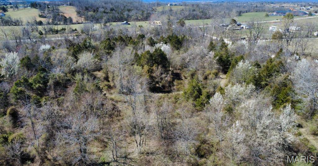 Fredericktown, MO 63645,210 madison and Hwy 72 - Lot 1 E