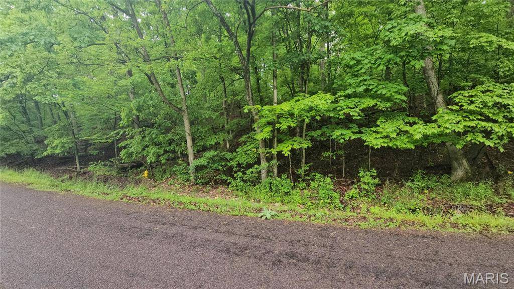 Lake Sherwood, MO 63357,990 Long Bow DR