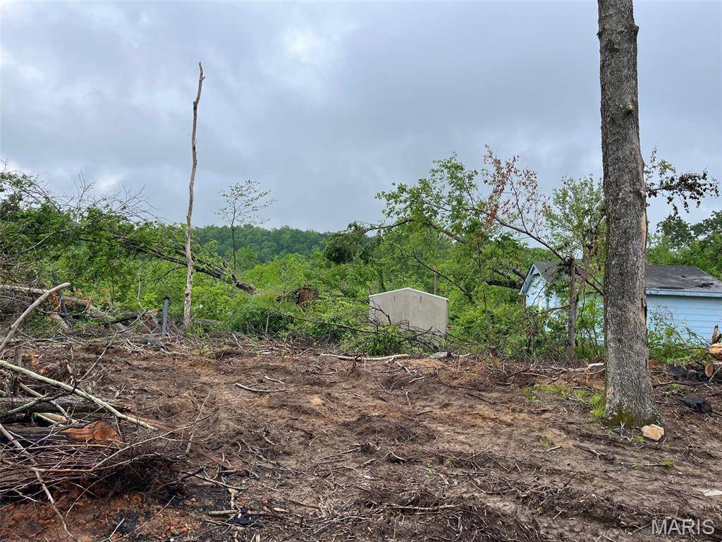 Piedmont, MO 63957,0 Private Road 459A-2