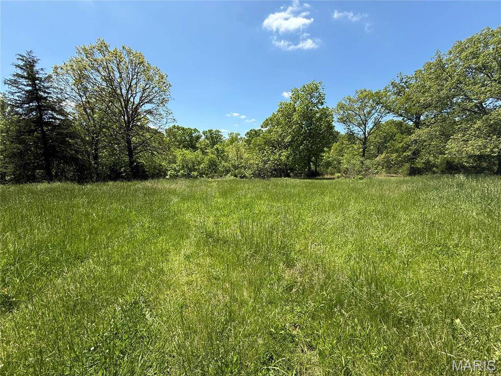 Mineral Point, MO 63660,10195 Nokomis RD
