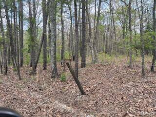 Hartshorn, MO 65479,0 Edgemond DR