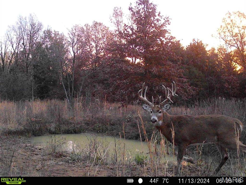 Middletown, MO 63359,0 Central Grove Rd & Marling Rd.
