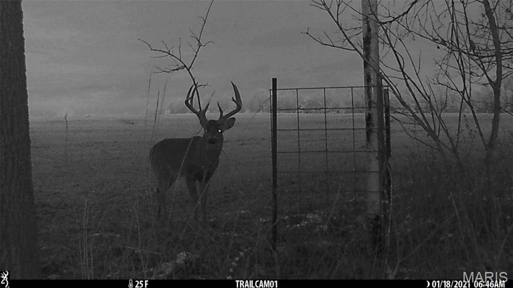 Middletown, MO 63359,0 Central Grove Rd & Marling Rd.