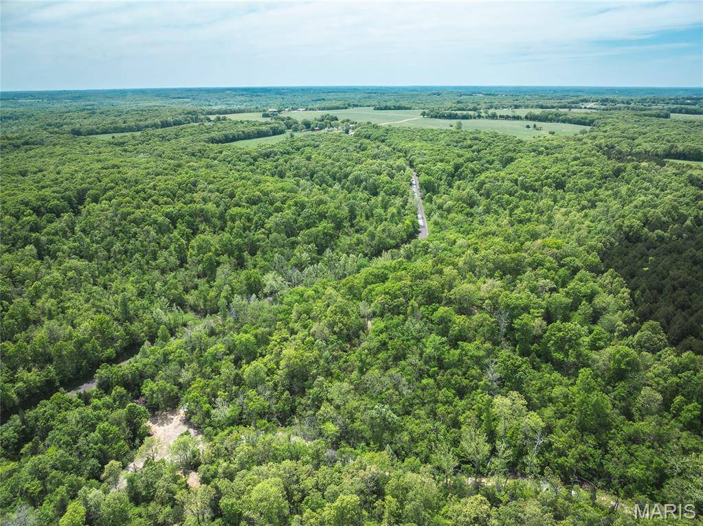 Sullivan, MO 63080,0 Lot H, Armadillo LN