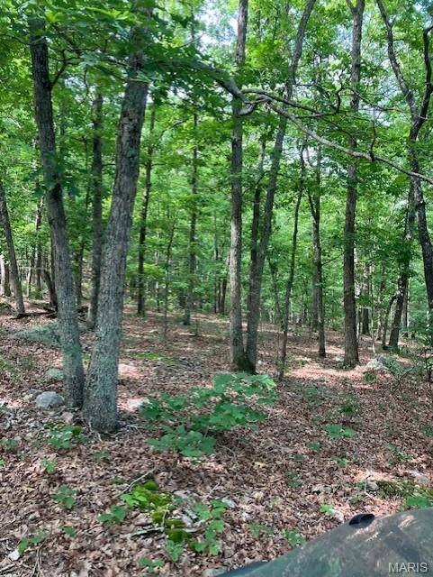 Lesterville, MO 63654,80 Reynolds CR 362