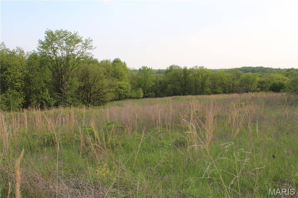 Eolia, MO 63344,110 Pump House LN