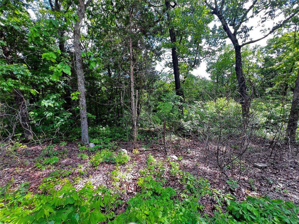 French Village, MO 63036,5918 Valley DR