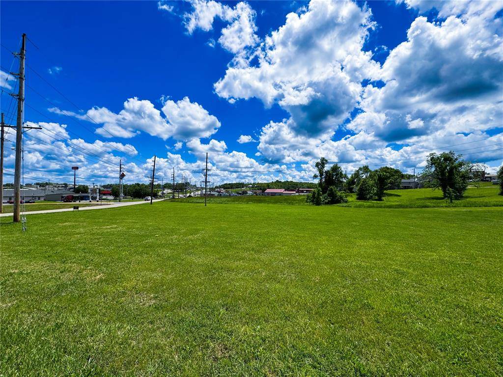 Bonne Terre, MO 63628,39 Berry RD