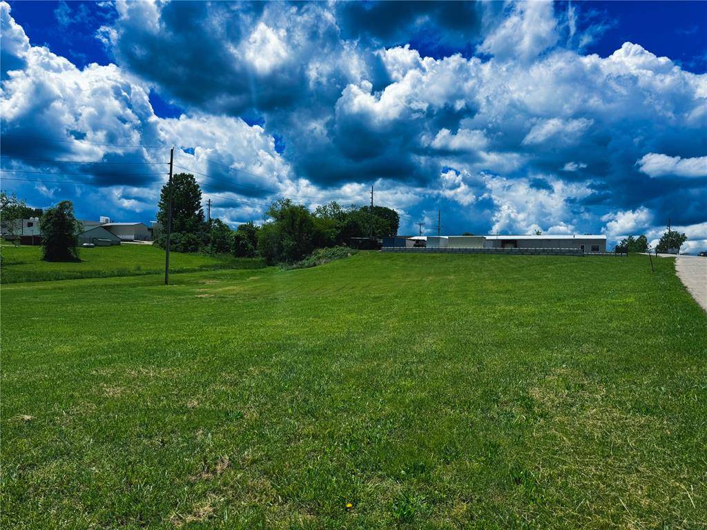 Bonne Terre, MO 63628,39 Berry RD