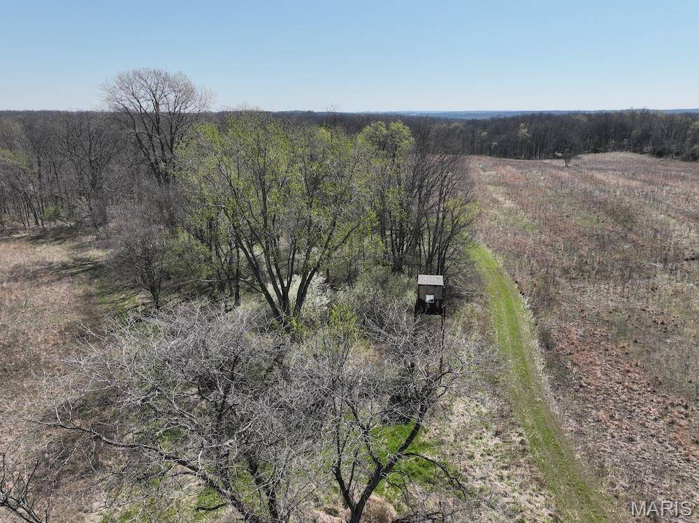 New London, MO 63459,19720 Highway FF