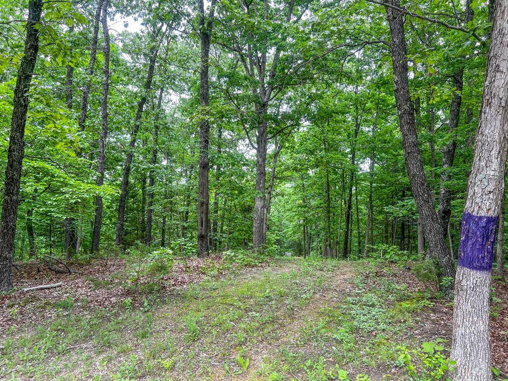 Dittmer, MO 63023,10.59 acres- State Rd WW