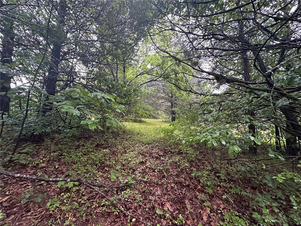 Unincorporated, MO 65630,123 Seven Pines DR