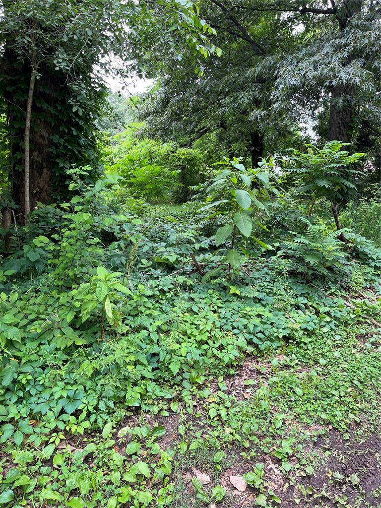 Kennett, MO 63857,0 Blair ST