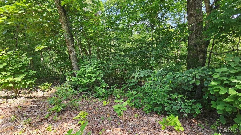 Lake Sherwood, MO 63357,2062 Heather DR