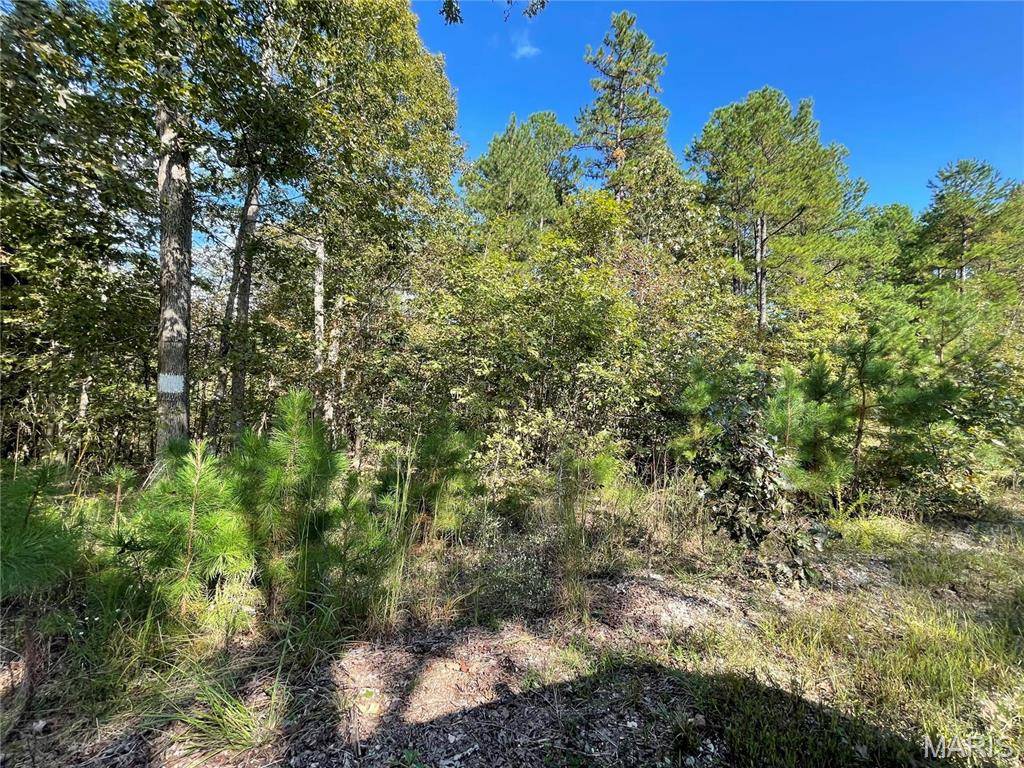 Poplar Bluff, MO 63901,4 Woodland Heights W
