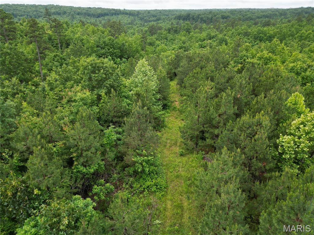 Greenville, MO 63944,000 CR 226