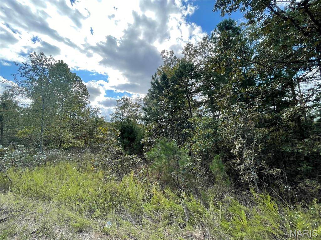 Poplar Bluff, MO 63901,13 Woodland Heights W