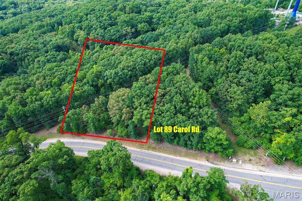 Lake Ozark, MO 65020,Lot 89 Carol RD