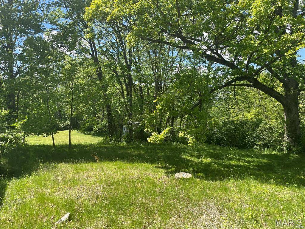 Kirkwood, MO 63122,1925 W Woodbine Ave
