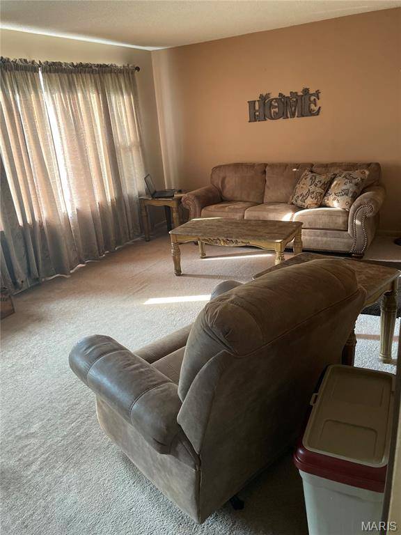 Florissant, MO 63031,60 La Venta DR