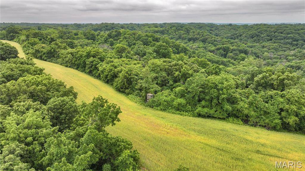 Batchtown, IL 62006,TBD Franklin Hill Rd