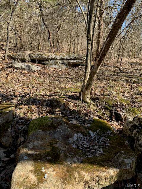 Troy, MO 63379,23 Turkey Ridge CT