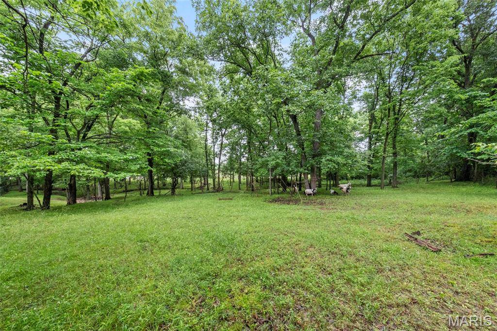 Moscow Mills, MO 63362,3190 Creek RD
