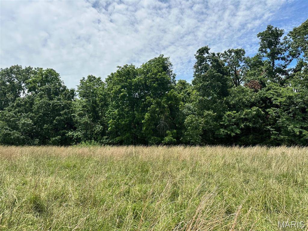Elk Creek, MO 65464,Lot 2 Highway H