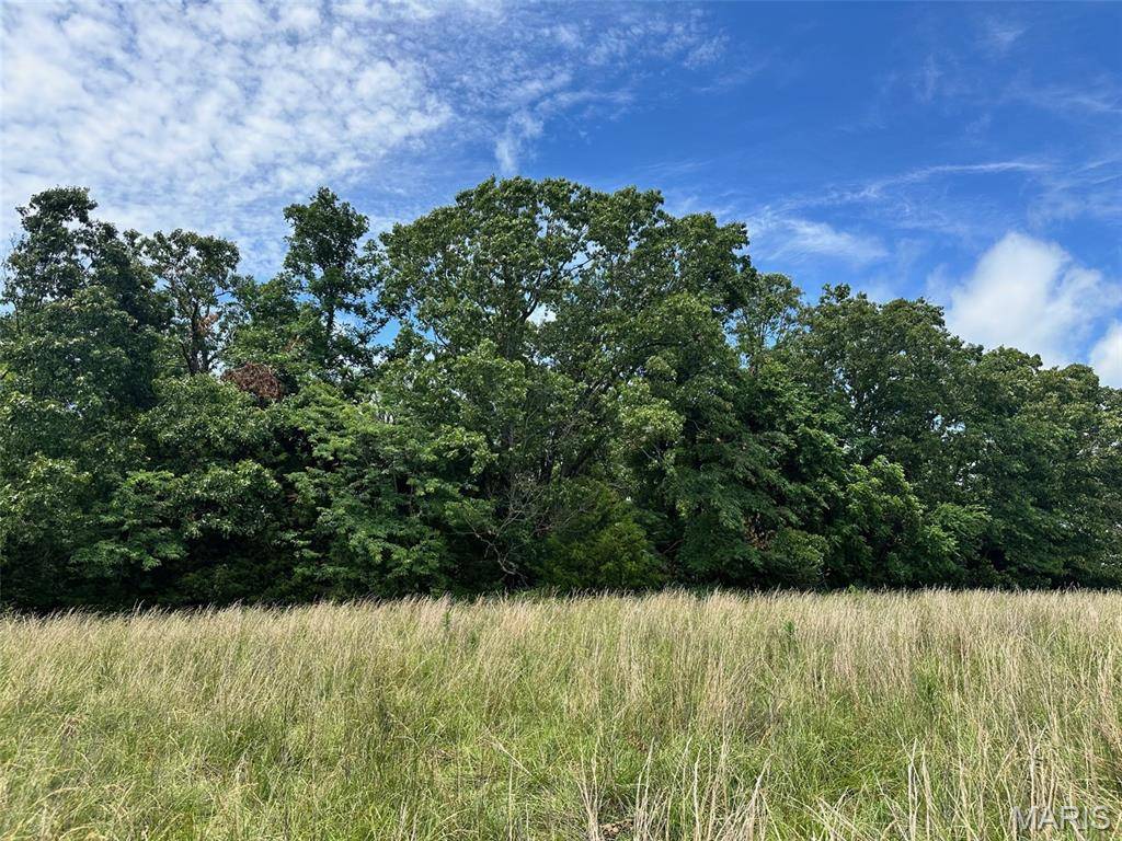 Elk Creek, MO 65464,Lot 2 Highway H
