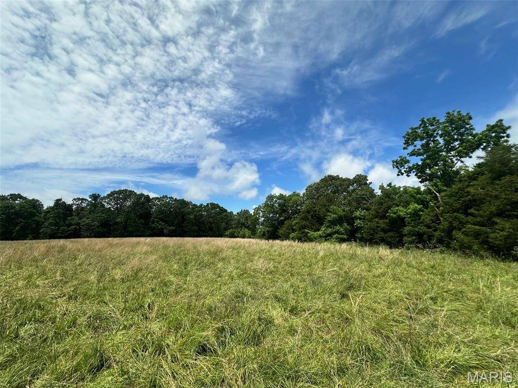 Elk Creek, MO 65464,Lot 2 Highway H