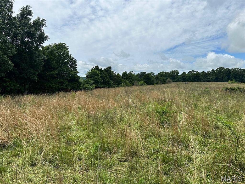 Elk Creek, MO 65464,Lot 3 Highway H