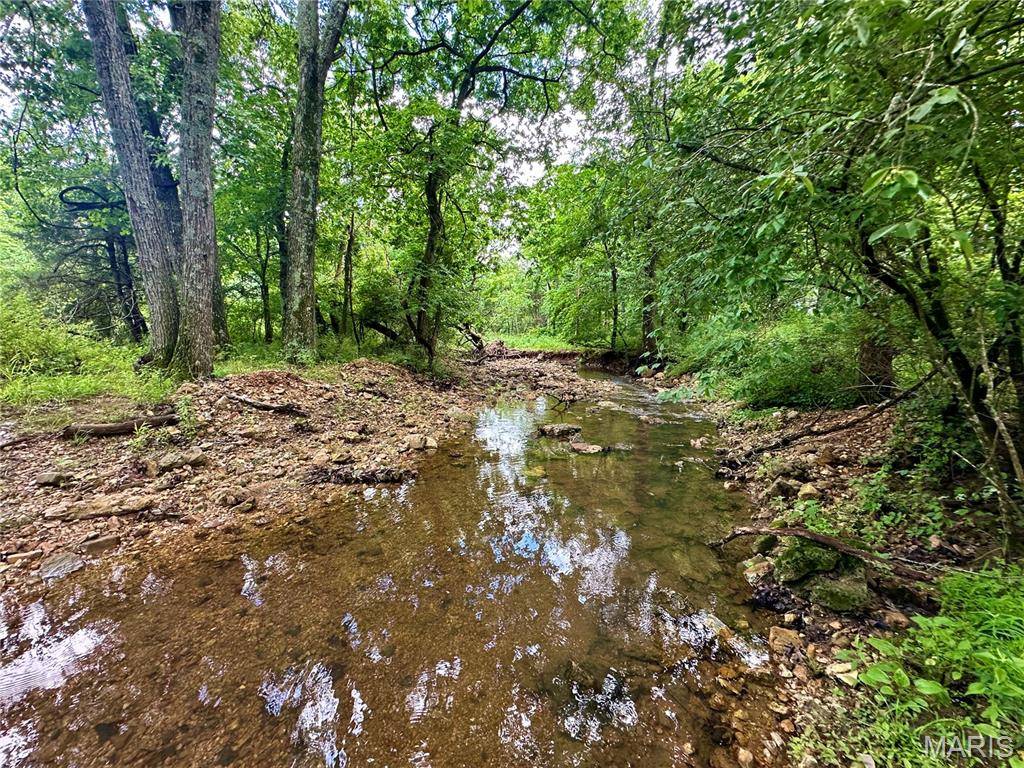 Elk Creek, MO 65464,Lot 8 Lebanon RD