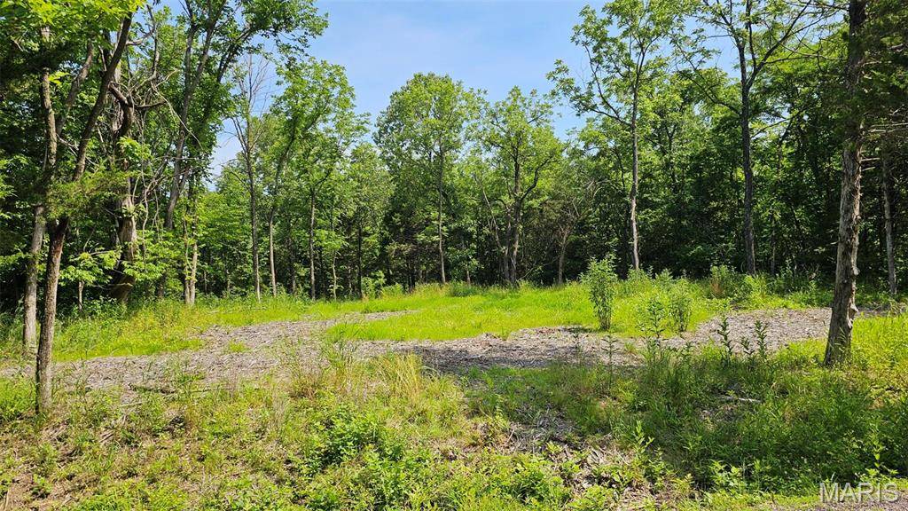 Marthasville, MO 63357,2472 E Squire RD