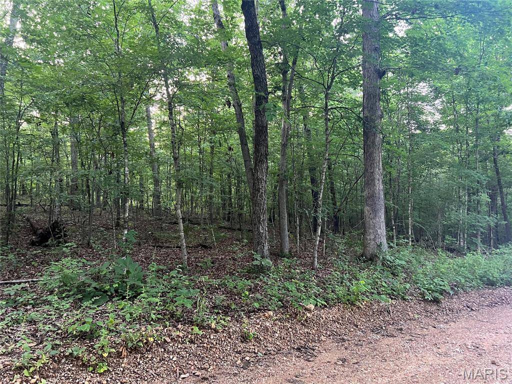 Piedmont, MO 63957,00 Black River Retreat #3
