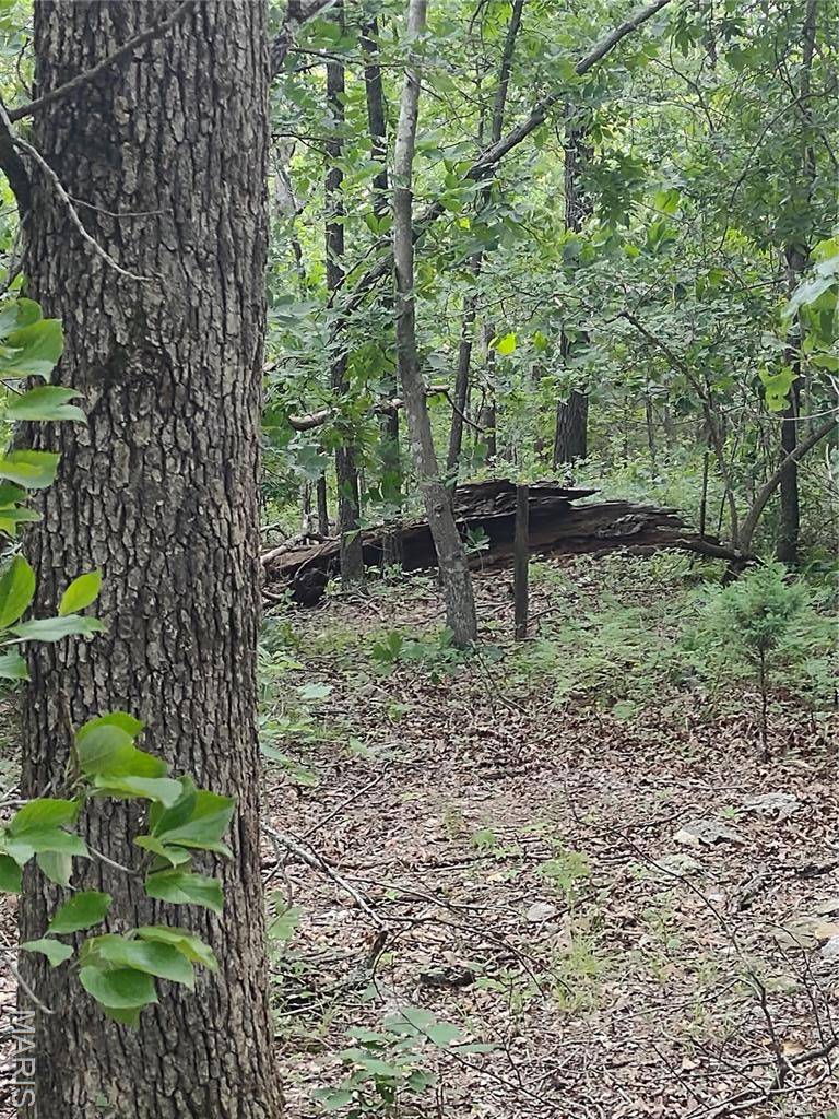 Falcon, MO 65470,000 Berry RD