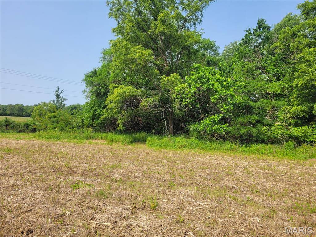 Bowling Green, MO 63334,0 Highway 54 (6.2+/- Acres)